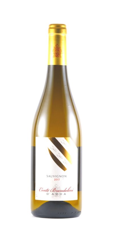 Sauvignon DOC 2022 Brandolini