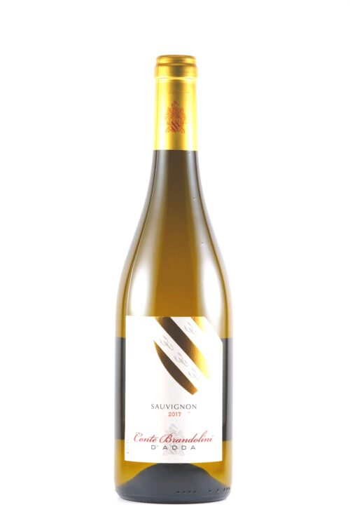 Sauvignon DOC 2022 Brandolini