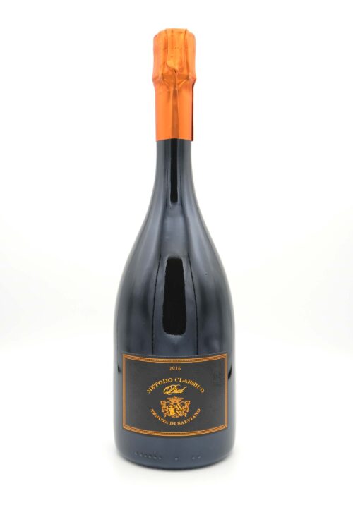 Metodo Classico Brut 2021 IGT Umbria Salviano